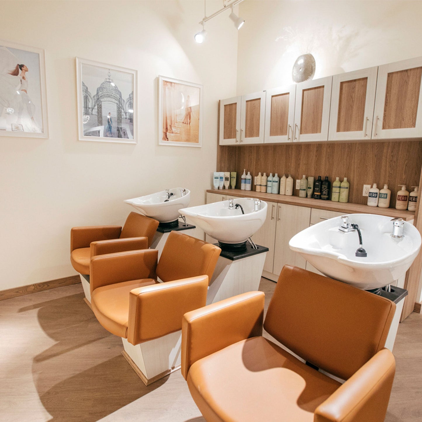 Cigno Backwash Shuttle - Collins